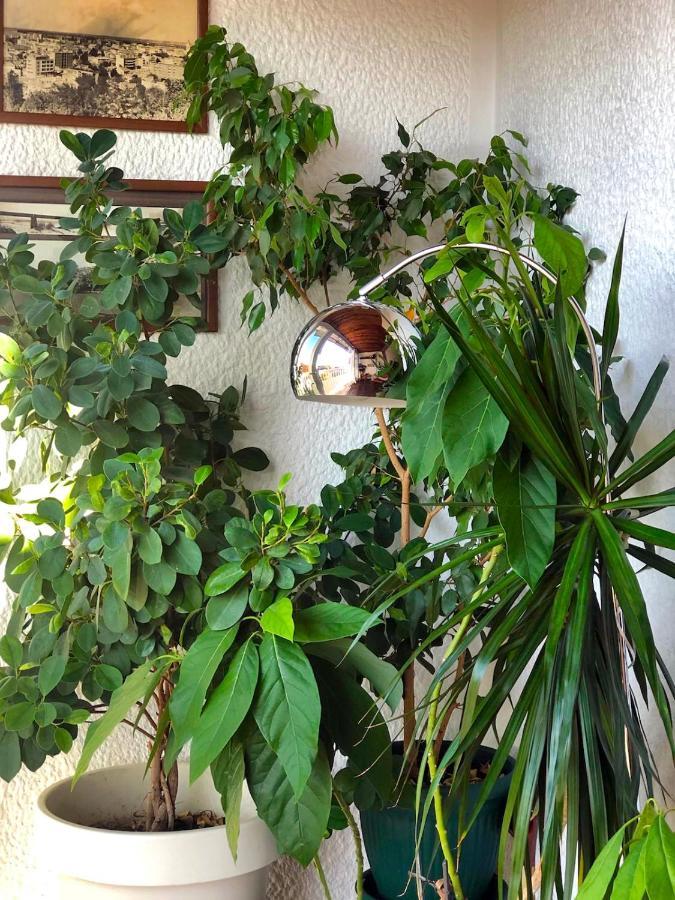Sokolov Apartment Smederevo Luaran gambar